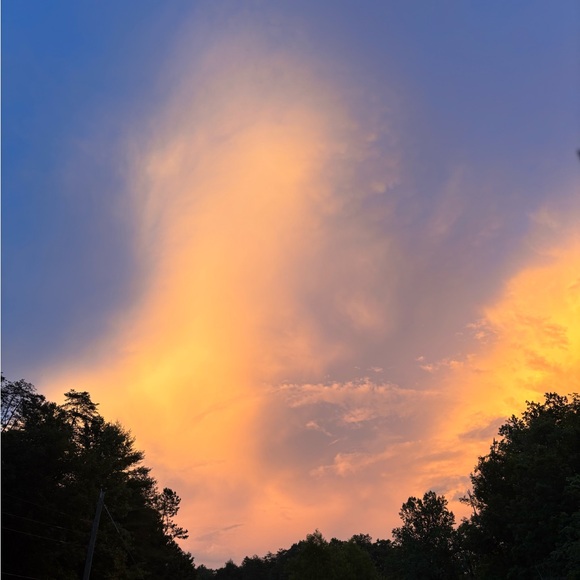 Meet your Posher, Amy - Picture 5 of 5